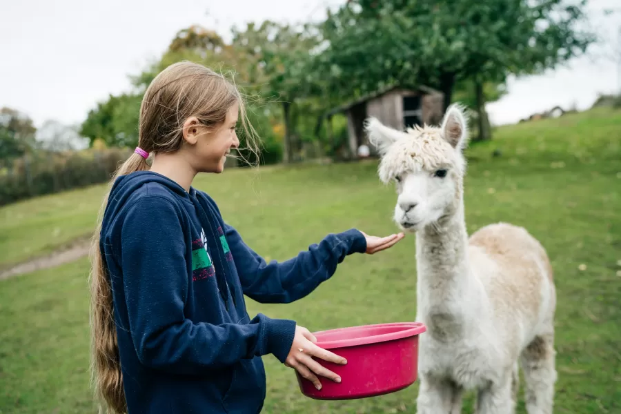 FLÖTOTTO - Stiftung Louisenlund - Internat, Ganztagsgymnasium, IB World School
